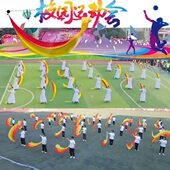 舞蹈氛围道具会纱创意高中球演出物入场手持初中生运动开手拿式 幕