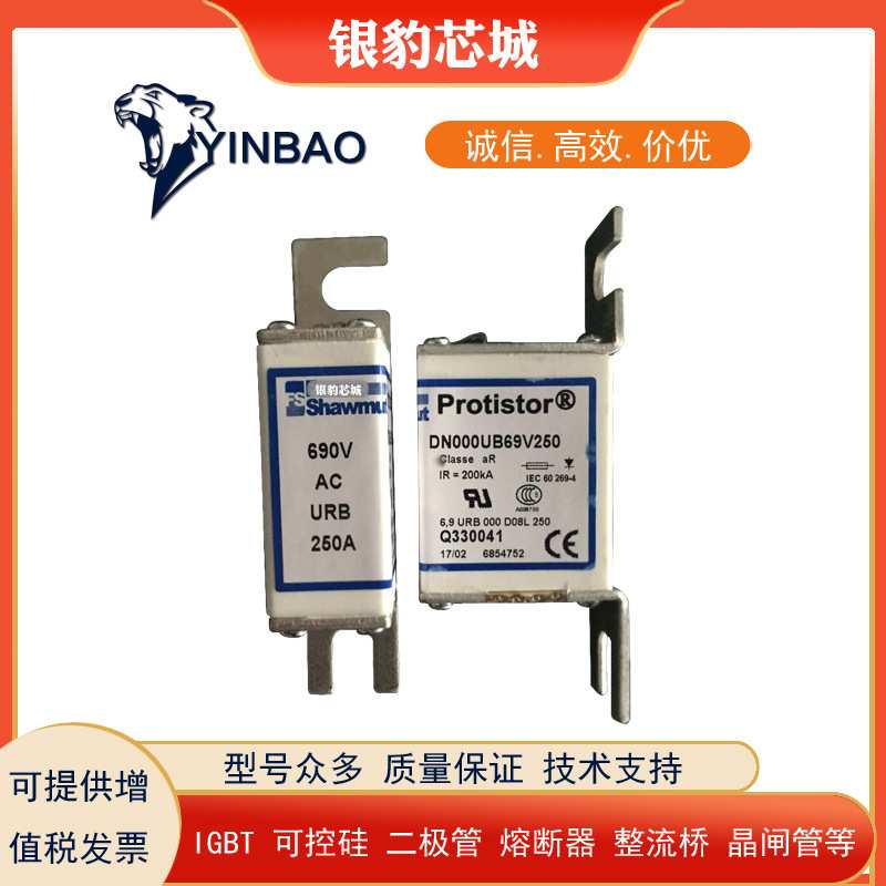6,9URB000BS88P/315 S330135 5URB000BS88P/350 T330136熔断器