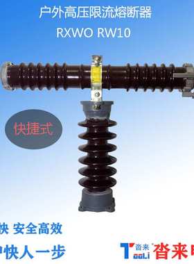 RXWO-35高压限流熔断器RW10-10-12-40.5KV陶瓷绝缘卡扣式高分断