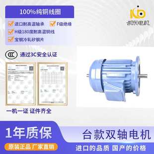 东莞厂家供应380V双轴电机铸铁三相电机马达专用金属加工机械设备