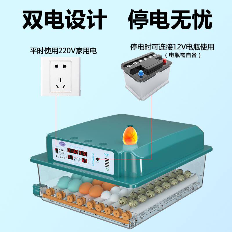 卢丁鸡蛋孵化器鹦鹉蛋受精可孵化器恒温小型鸡鸭鹅种鸡蛋可孵化器