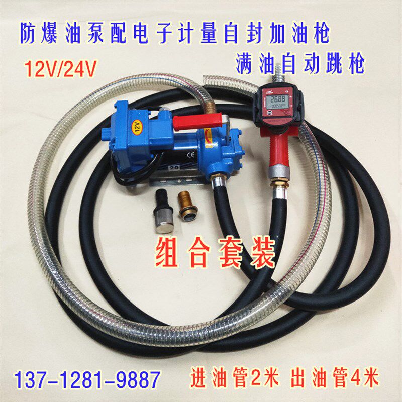 防爆汽油泵12V24V220V直流电动抽油泵总成柴油自吸泵带枪管加油机