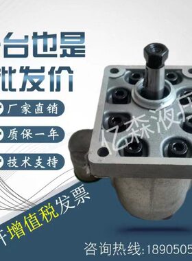 45-系列/8/C20B煤矿0 Y齿轮泵0BCB30C0 Y60泵用- Y8/B/0YC--Y88BC