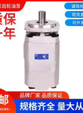 合肥长源液压齿轮油泵CBKP63/40-BFPL 液压泵CBKP80/50-BFH高压泵