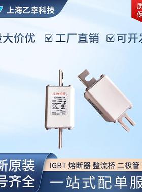 巴斯曼熔断器 170M4242 170M4243 170M4244 170M4245 170M4246