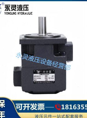 0D3BB-DDD Y-仙-68B16-CL居永灵Y31.5  Y-B3 Y YB.D Y6叶片泵油泵