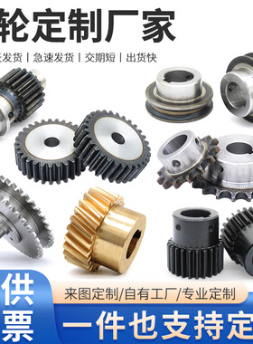 齿轮厂家非标定制 4分链轮配件大全传动直齿条组合传动定做1模2模