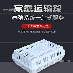 家禽运输笼 鸡鸭鹅W形运输筐 加厚塑料运输鸡笼 周转箱鸡运输笼子