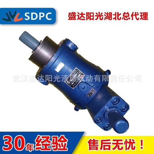 邵阳维克 上海高行 80YCY14-1B 160YCY14-1B 高压油泵 轴向柱塞泵