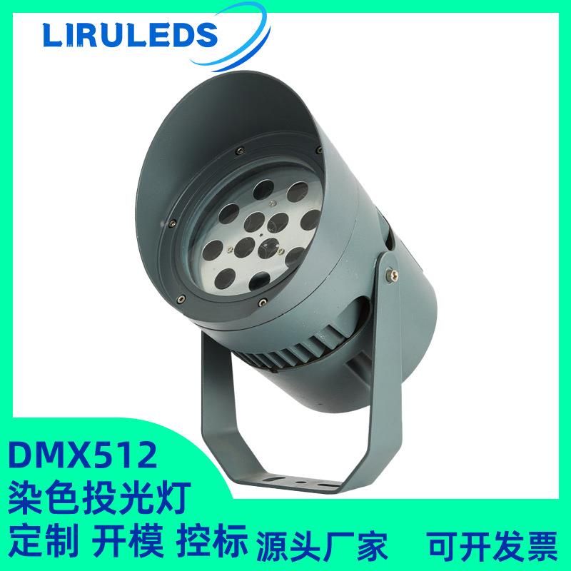 LED全彩RGBW文旅亮化芯龙泛光灯 DMX512染色山体氛围24W投光灯