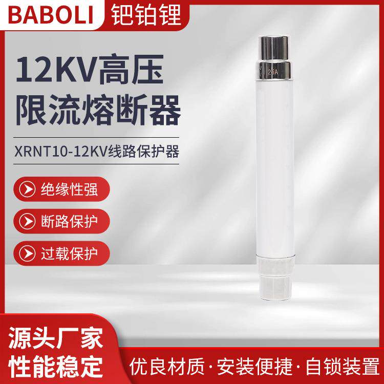 厂家供应 12KV高压限流熔断器 XRNT10-12KV线路保护器