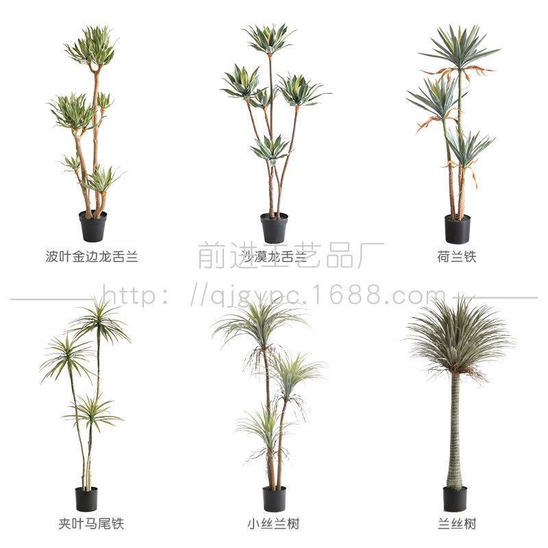 沙生植物仿真芦荟龙舌兰造景装饰摆件假树荷兰铁马尾铁店铺软装