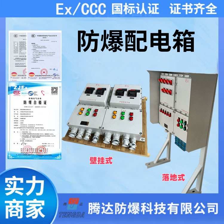 户外防雨型挂式防爆照明配电箱防水防尘动力检修箱粉尘成套接线箱