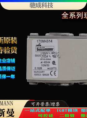 巴斯曼170M4514 170M4515 170M4516 大量现货价格优惠 方体熔断器