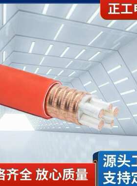 定制BTLY矿物绝缘防火电缆NG-A 3*35+2 低压柔性防火电力电缆厂价
