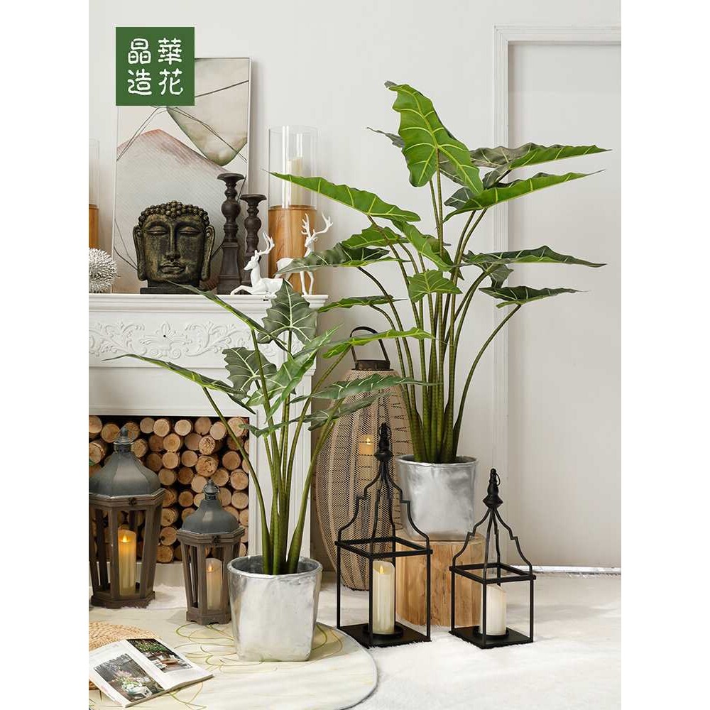 落地植物盆栽居陈列摆件绿植网红大叶子景观树假芭蕉叶
