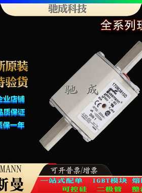 巴斯曼170M3810 170M3809 170M3811 长期 销售价优 原装熔断器