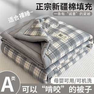 格子夏被空调被新疆棉夏凉被夏天2C025新款 被子 被芯单人宿舍薄款