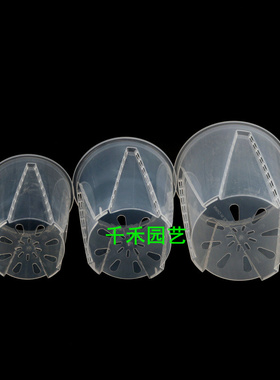 透明青山控根盆有侧孔加厚透气盆蝴蝶兰铁皮石斛多肉加高兰花盆