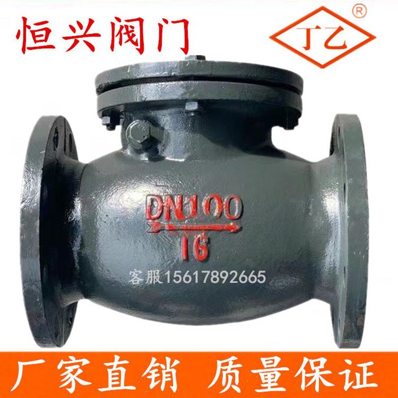 H44T-16旋启式止回阀短体 铸铁铜芯法兰止回阀DN40 50 65 80 100