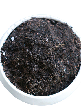 营养土通用型家用多肉专用养花种花种菜种植泥土盆栽有机土壤花肥