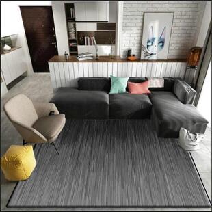 北欧简约素色客厅茶几拍照地毯民宿百搭卧室满铺黑白灰色系地垫