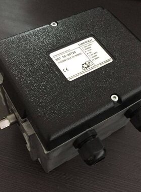 ES050/-RT30S50GTET/205020GT-60电动执行器S3T4-GT