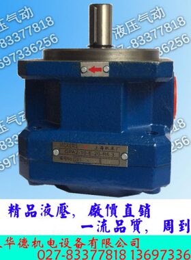 G/6E RA1A2--4.3P- 上海G6 6/P/-/40齿轮泵161025 厂3-202机床