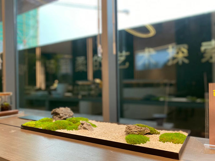 绿植装饰桌面摆件办公桌会议室长桌微H景观客饭厅苔藓造景定制包