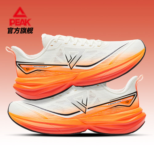 匹克态极骋风3.0跑步鞋女软底减震耐磨鞋子青少年轻便运动鞋男款