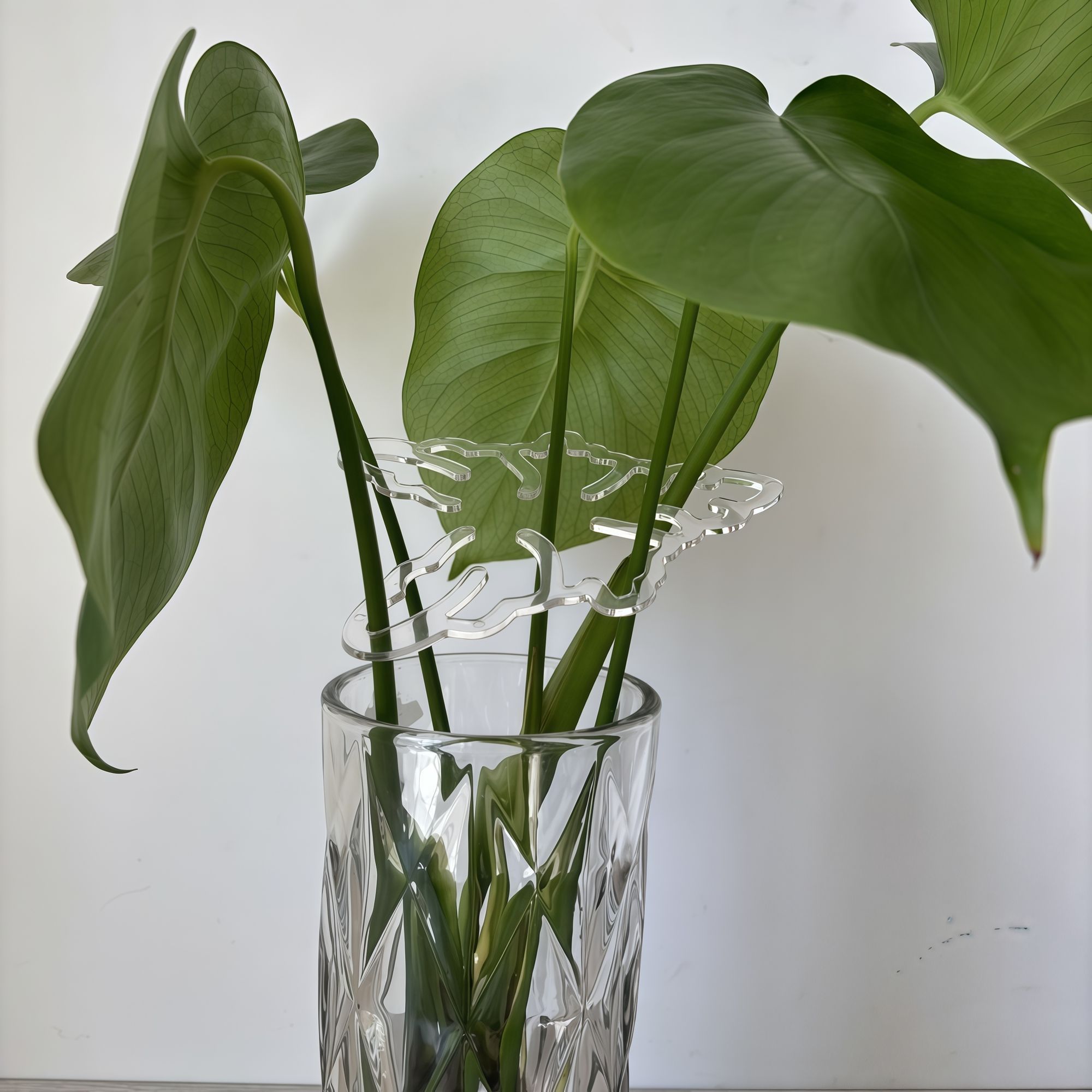 龟背竹定型支撑杆防倒伏支架枝干收拢绿植固定器花架实用园艺工具