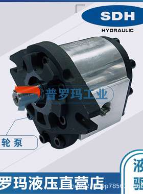 SDH齿轮泵液压油泵CBD2-F520 CBD2-F522 CBD2-F526 CBD2-F570