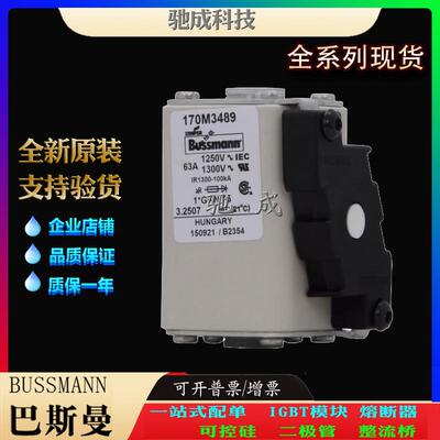 巴斯曼170M3490 170M3491 170M3492 厂家直供零售 紧凑熔断器