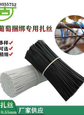 葡萄扎线 0.55圆扁一万条12cm白色扎带 绑丝猕猴桃绑枝园林扎丝