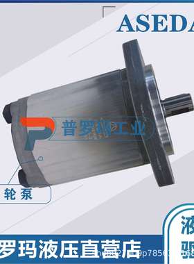ASEDA齿轮泵SAP0.5-0.50 SAP0.5-0.65 SAP0.5D-1.30 SAP0.5D-1.60