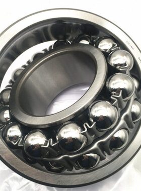 023023轴承 心调10  23 TN236K  231223523A11 07球9 00238