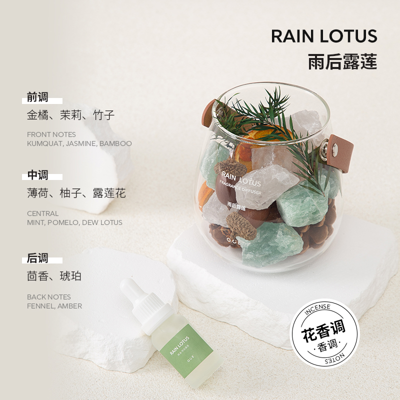 OCE绿野仙踪香薰晶石精油扩香器玻璃罩玫瑰Q花摆件家居饰品礼盒