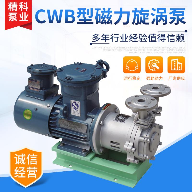 CWB型磁力旋涡泵 厂家供应磁力传动旋窝泵 高扬程驱动泵