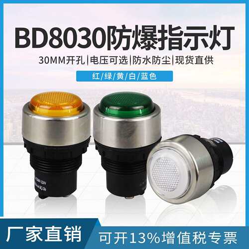 BD8030防爆指示灯AC220 380V不锈钢防爆信号灯红绿黄白防爆灯