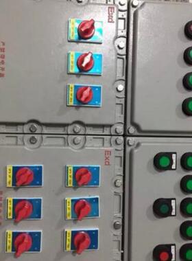 防爆配电箱 IIB IIC不锈钢防爆配电箱防爆控制箱防爆接线箱防爆灯