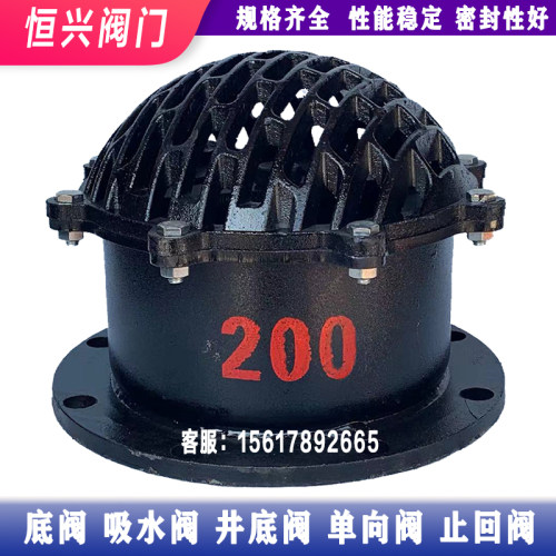 H42X-6法兰底阀 单向阀止回阀 铸铁水泵底阀DN50 80 100 150 200