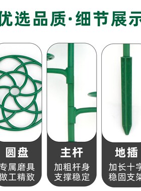 太阳花造型支架仙人掌蟹爪兰嫁接用支撑爬藤棒棒糖固定支撑架花架