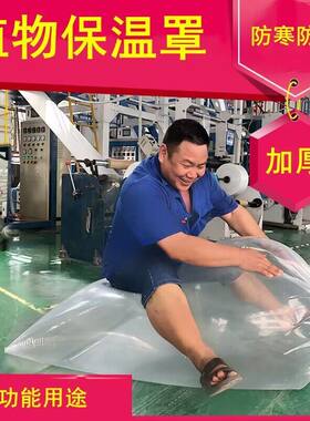 三角梅茶树保温罩加厚塑料膜果树花卉盆栽冬季防雨罩防冻保温棚