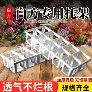 多肉花盆7cm方盆8孔托架白色小白方带托架多肉植物育苗盆塑料底托