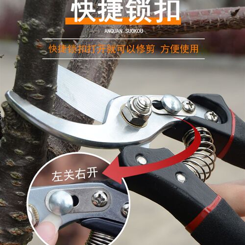 花剪园艺剪刀家用花草盆栽修花园林果树修剪树枝日本剪枝修枝剪