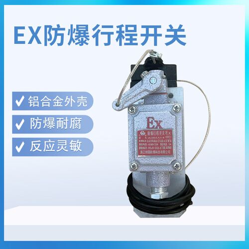 直销防爆重锤限位器 BLX-5型防冲顶限位开关防爆重锤限位现货包邮