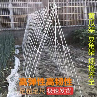 搭育种菜豆避0雨棚架葡萄架子10角菜架杆架苗黄瓜玻纤维杆种杆根