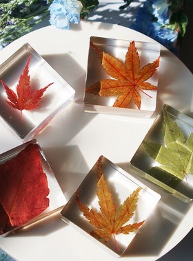 创意滴胶植物标本水晶滴胶方v体干花摆件饰品挂件礼物2颗现货成品