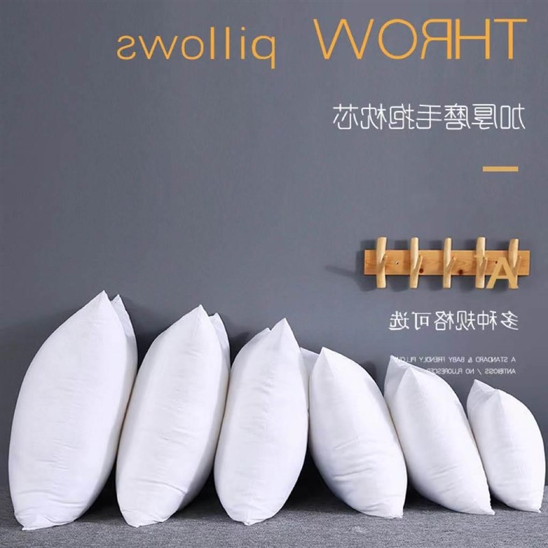 Throw Pillows Sofa Couch Cushion Decorative Pillow insert枕