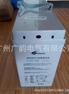 双登狭长蓄电池6-FMX-100B 双登免维护直流屏柜用12V100AH蓄电池